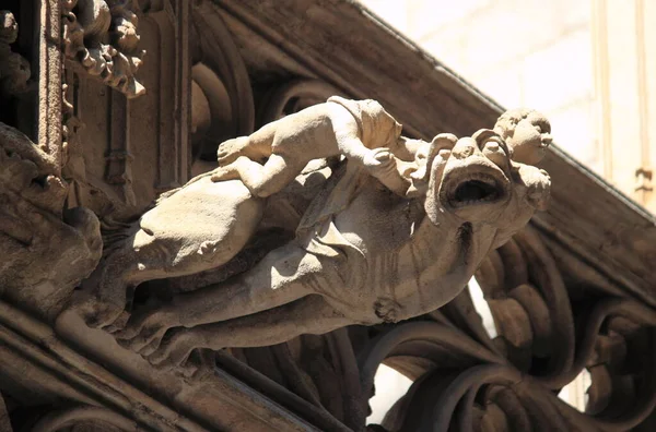 Gárgula Santa Cruz Catedral Santa Eulália Barcelona Espanha — Fotografia de Stock