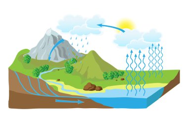 Vector schema of the water cycle in nature clipart