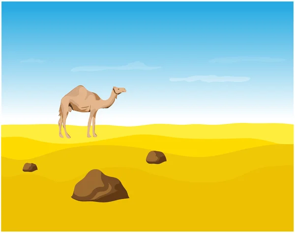 Kamel in der Wüste — Stockvektor