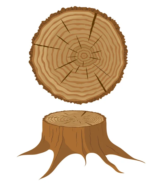 Sección transversal de árbol y tocón — Vector de stock