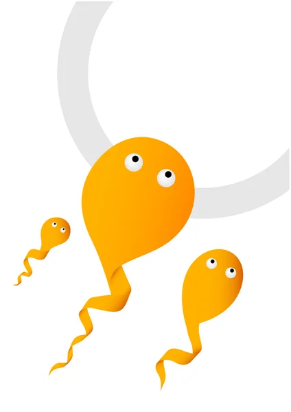 Sperm and Egg, illustration — Stock Vector