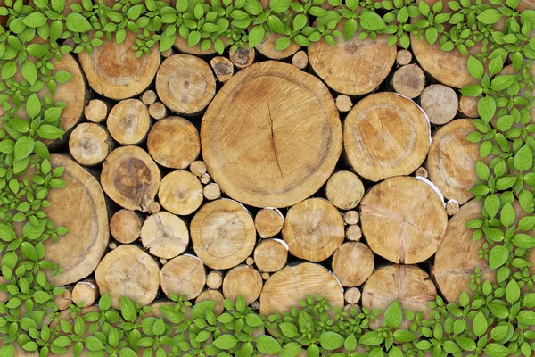 Stacked Logs Background with ying yang — Stock Photo, Image