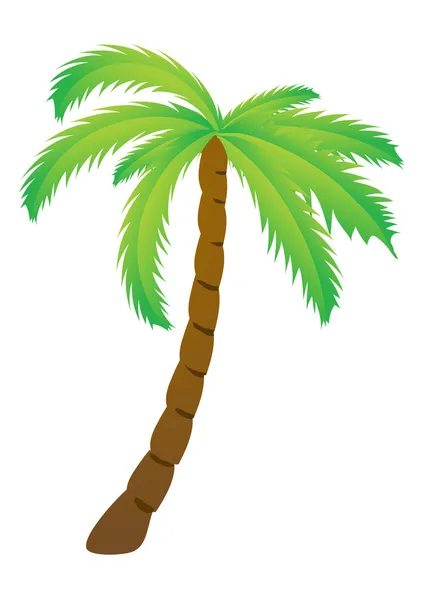 Palm tree — Stock Vector