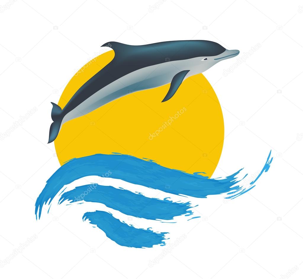 Dolphin vector illustration, isolated logo on white
