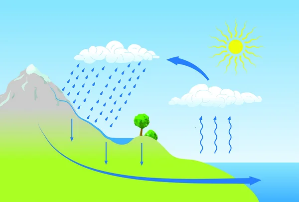 Esquema vectorial del ciclo del agua en la naturaleza — Archivo Imágenes Vectoriales