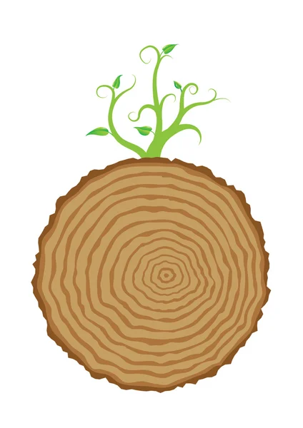 Tree stump and green plant shoot, vector — Stock Vector