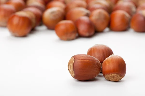 Hazelnuts on white surface — Stock Photo, Image