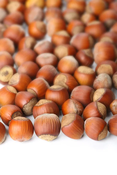 Hazelnuts on white surface — Stock Photo, Image
