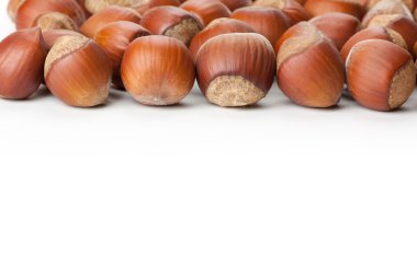 Beyaz yüzeyde fındık