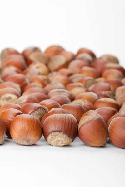 Hazelnuts on white surface — Stock Photo, Image