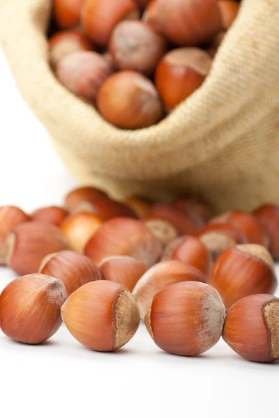 Hazelnuts in a burlap bag on white background — Stock Photo, Image