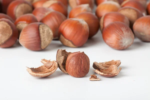 Peeled hazelnut — Stock Photo, Image