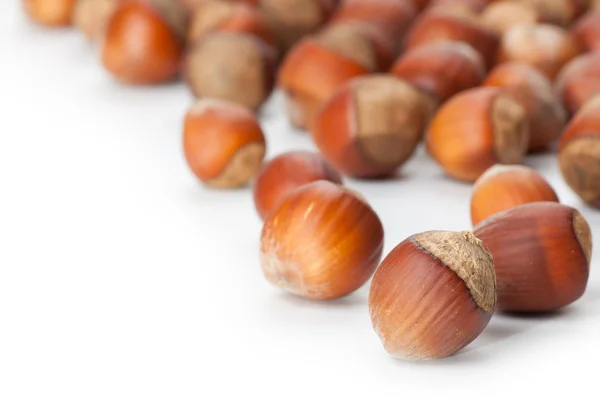 Hazelnuts on white surface — Stock Photo, Image