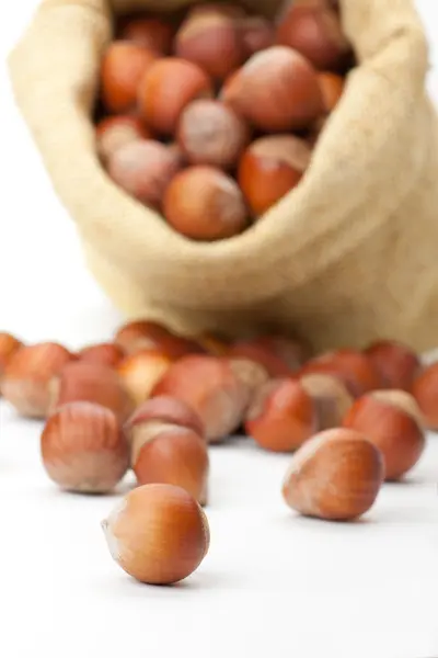 Hazelnuts in a burlap bag on white background — Stock Photo, Image