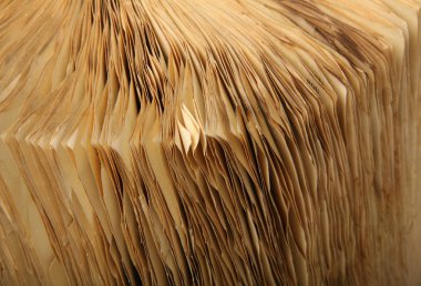 eski kitap sayfaları