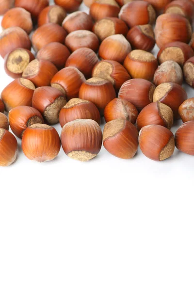 Hazelnuts on white surface — Stock Photo, Image