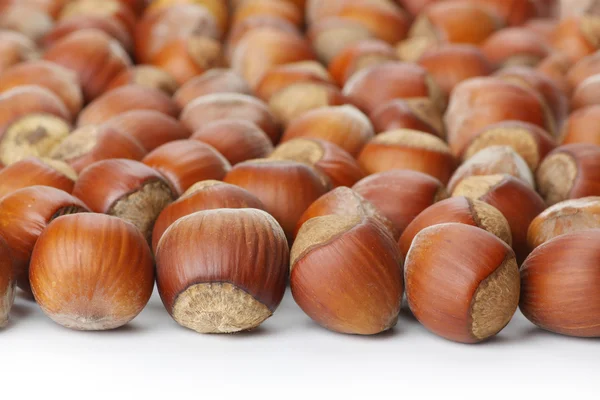 Hazelnuts on white surface — Stock Photo, Image