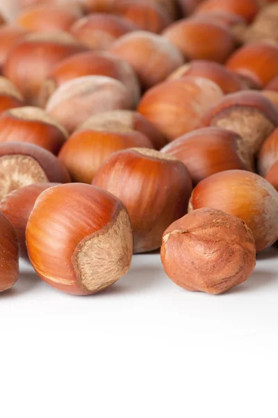 Hazelnuts on white surface — Stock Photo, Image