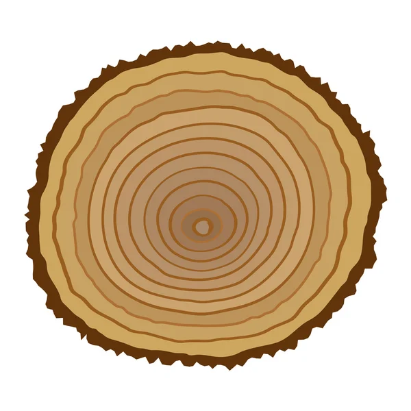 Sezione trasversale del tronco d'albero — Vettoriale Stock