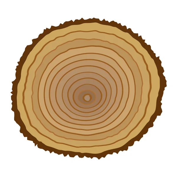 Sección transversal del tocón del árbol — Vector de stock