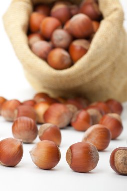 bir çuval bezi çanta beyaz zemin üzerine fındık