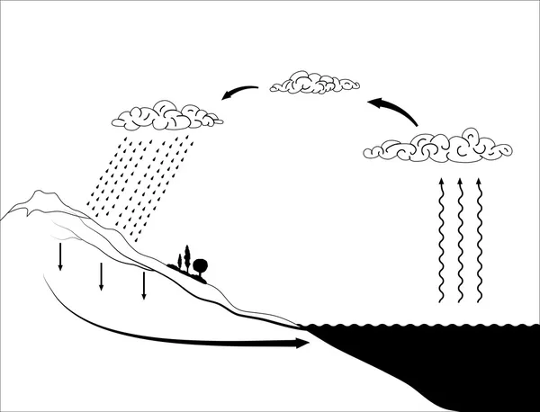 Esquema vectorial del ciclo del agua en la naturaleza — Vector de stock