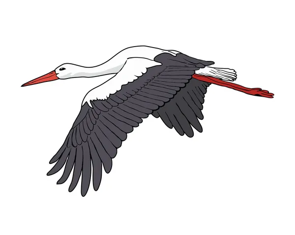 Flying stork illustration — Stok fotoğraf