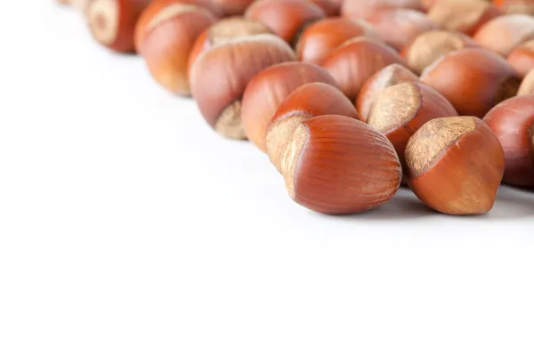 Hazelnuts on white surface — Stock Photo, Image