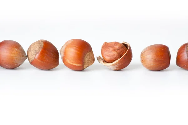 Peeled hazelnut among unpeeled, isolated on white