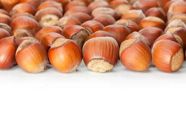 Hazelnuts on white surface — Stock Photo, Image