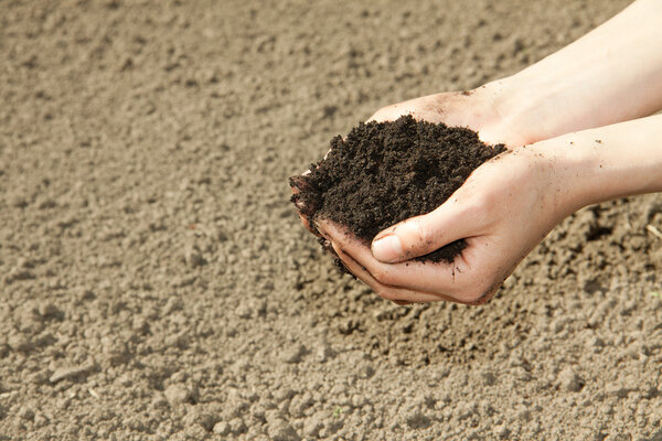 Hands with soil
