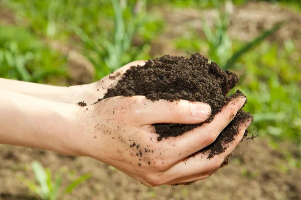 Mani con terreno — Foto Stock