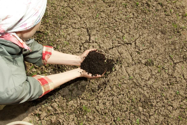 Mani con terreno — Foto Stock