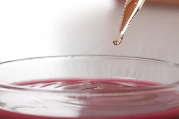 Sangre en placas de Petri —  Fotos de Stock