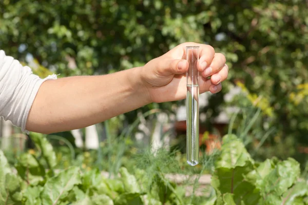 Prueba de pureza del agua —  Fotos de Stock