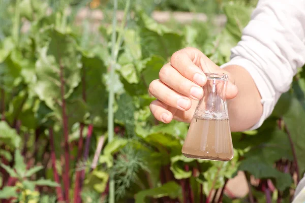 Investigador probando la calidad del agua — Foto de Stock