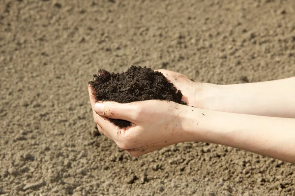 Ręce z glebą — Zdjęcie stockowe