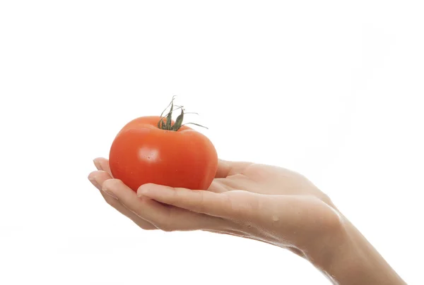 Tomate à la main, isolée sur fond blanc — Photo