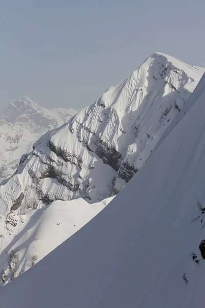러시아의 소치에 있는 크라 스투 야 폴리 아나 의산들 — 스톡 사진