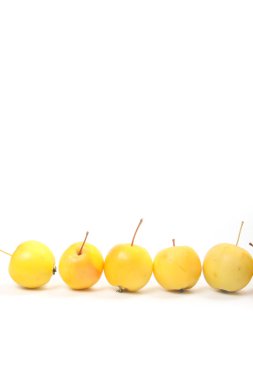 Sarı elmalar