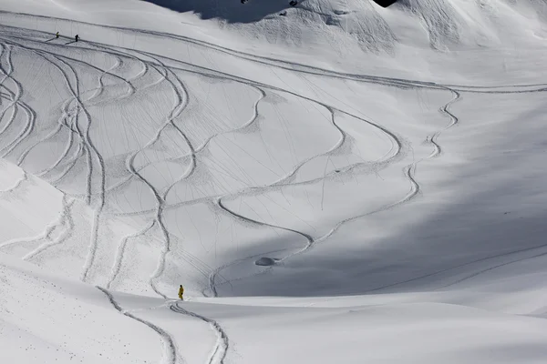 Freeride, tracks op een helling — Stockfoto