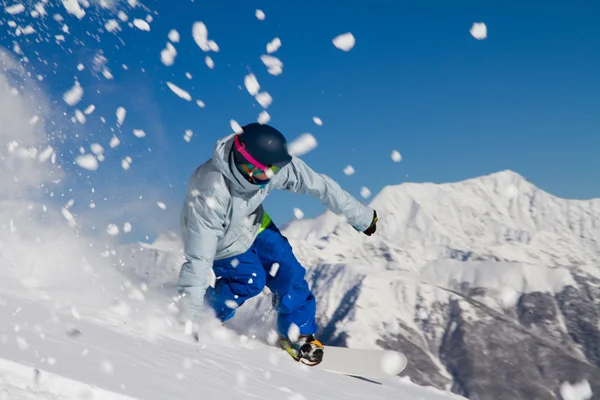 Snowboard freerider — Stok fotoğraf