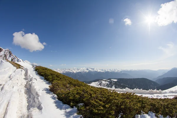 As montanhas em Krasnaya Polyana, Sochi, Rússia — Fotografia de Stock