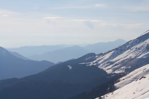 Góry w Krasnaya Polyana, Soczi, Rosja — Zdjęcie stockowe