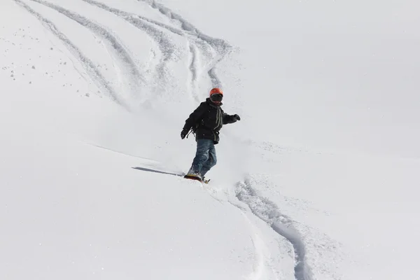 Snowboard Freerider — Stockfoto