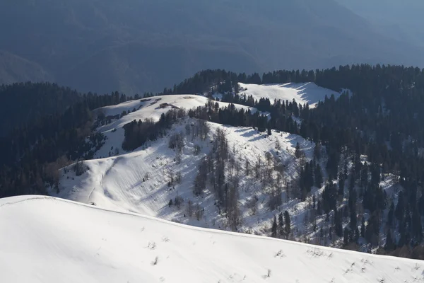 Die Berge in Krasnaja Poljana, Sotschi, Russland — Stockfoto