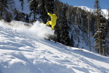 Snowboard freerider