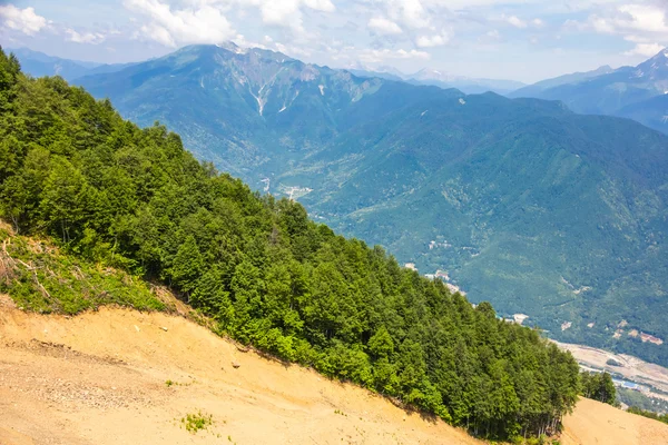 Grido sul pendio della montagna — Foto Stock