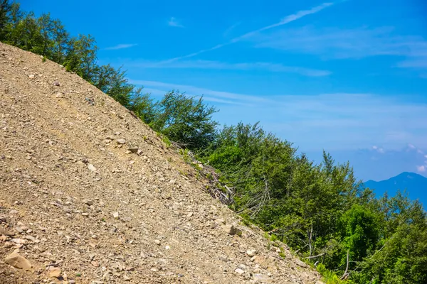 Rasbranter på berg slutta — Stockfoto