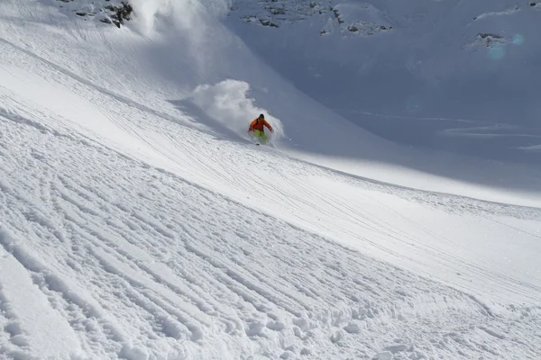 Esquiador en polvo profundo, freeride extremo —  Fotos de Stock